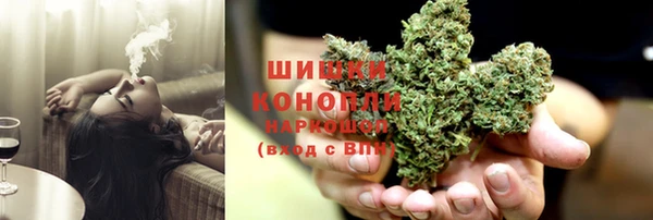 крисы Богородск