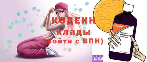 МДПВ Бородино