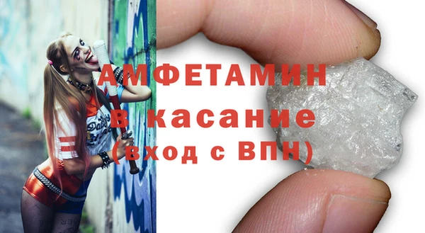 МДПВ Бородино