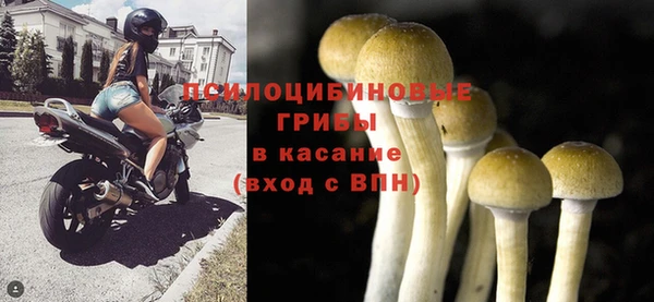 метамфетамин Богданович