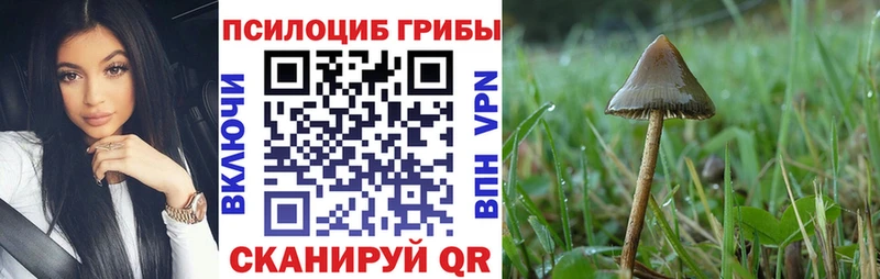 Псилоцибиновые грибы Magic Shrooms  купить наркотик  Подольск 